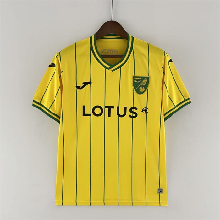 Norwich City 22-23 home jersey