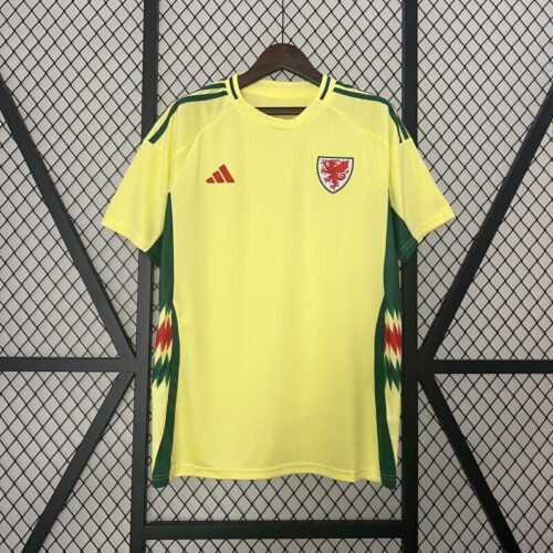Wales 2024 Away jersey