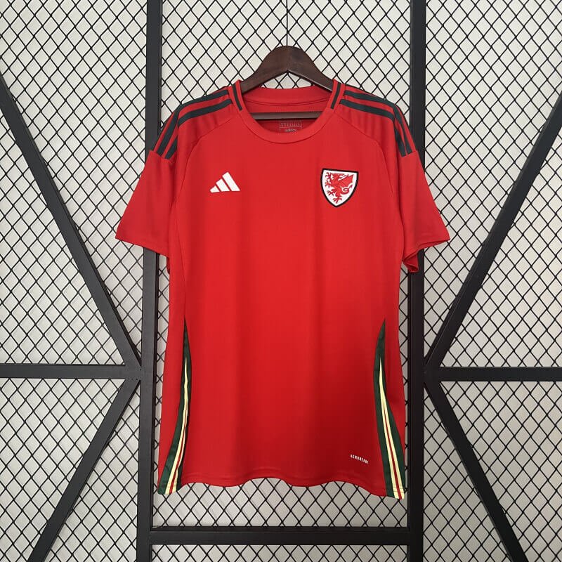 Wales 2024 home jersey