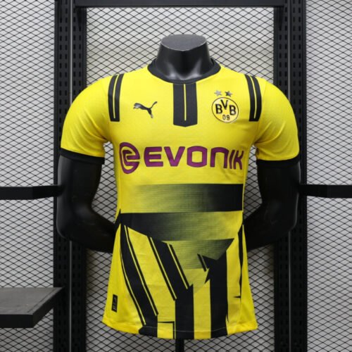 Borussia Dortmund 24-25 cup authentic jersey