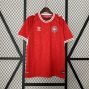 Denmark 2024 Home jersey